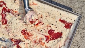 Plum–Black Pepper Yogurt Semifreddo