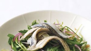 Spanish Anchovy, Fennel, and Preserved Lemon Salad