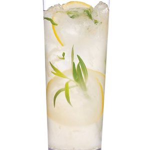 Sparkling Tarragon-Gin Lemonade